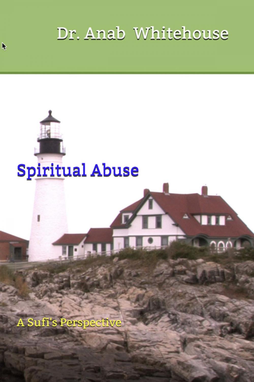 Big bigCover of Spiritual Abuse: A Sufi's Perspective