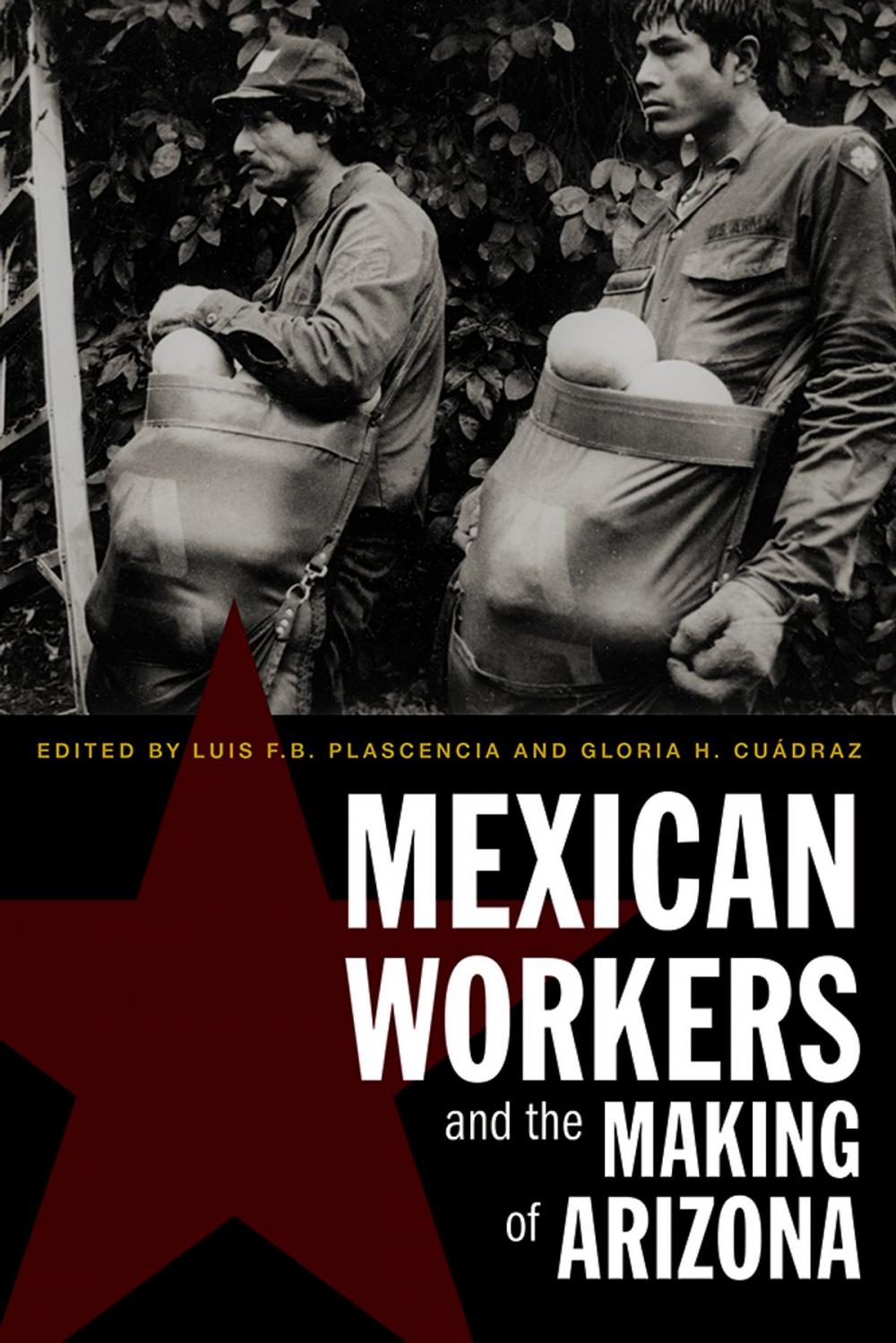 Big bigCover of Mexican Workers and the Making of Arizona