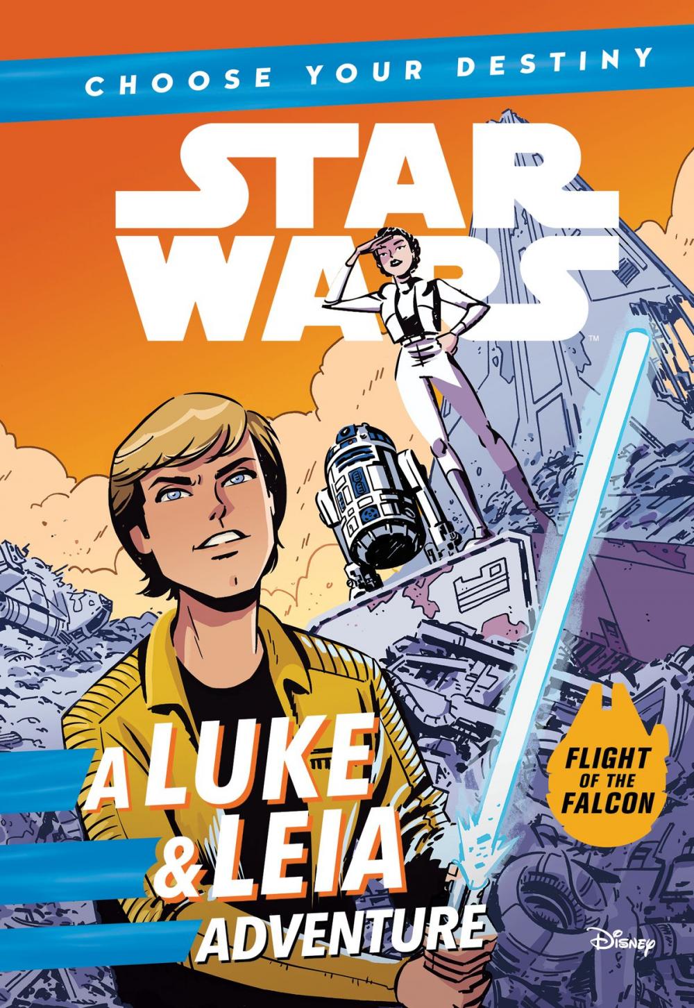 Big bigCover of Star Wars: Choose Your Destiny: A Luke & Leia Adventure