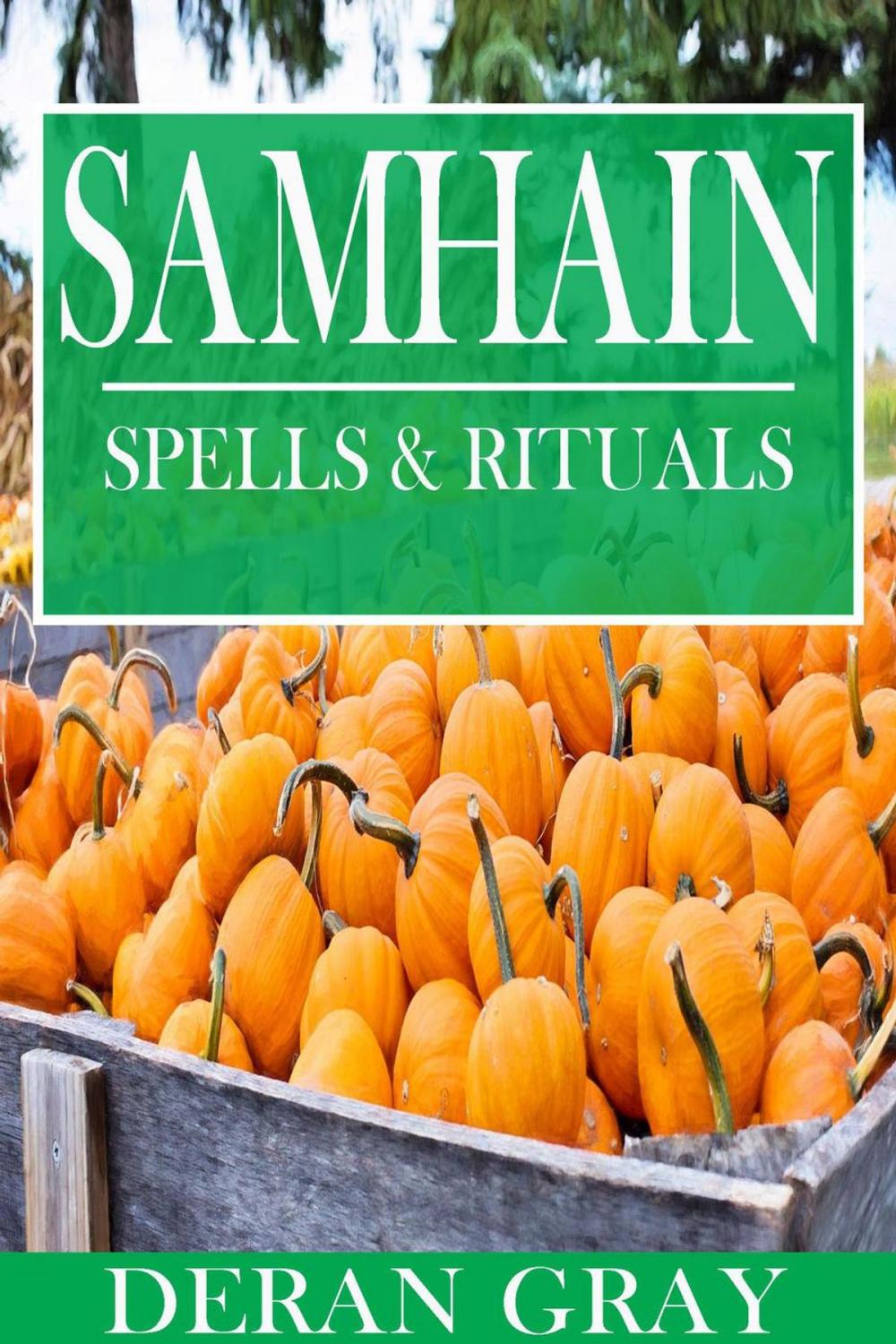 Big bigCover of Samhain Spells and Rituals