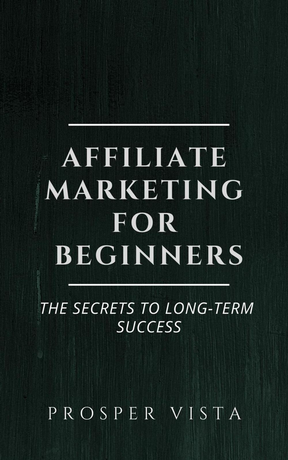 Big bigCover of Affiliate Marketing for Beginners: The Secrets to Long-Term Success