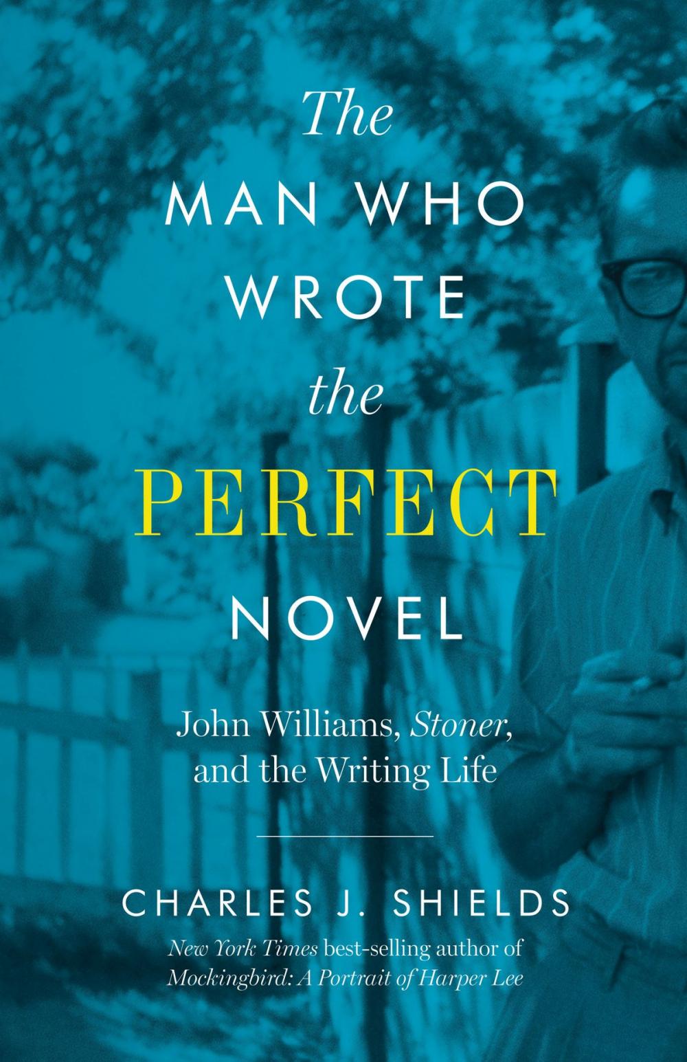 Big bigCover of The Man Who Wrote the Perfect Novel