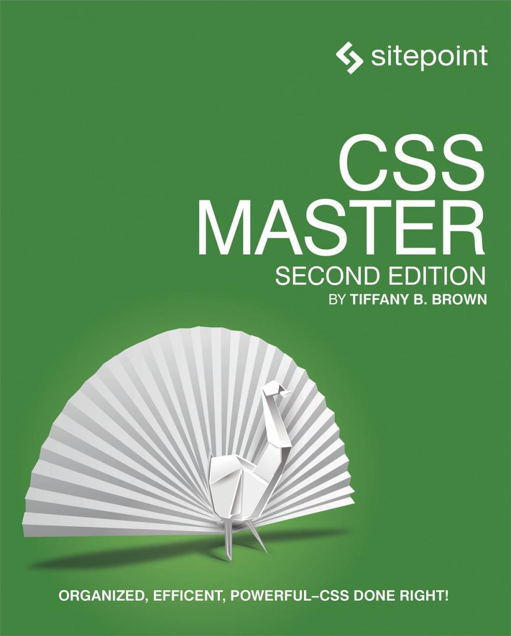 Big bigCover of CSS Master