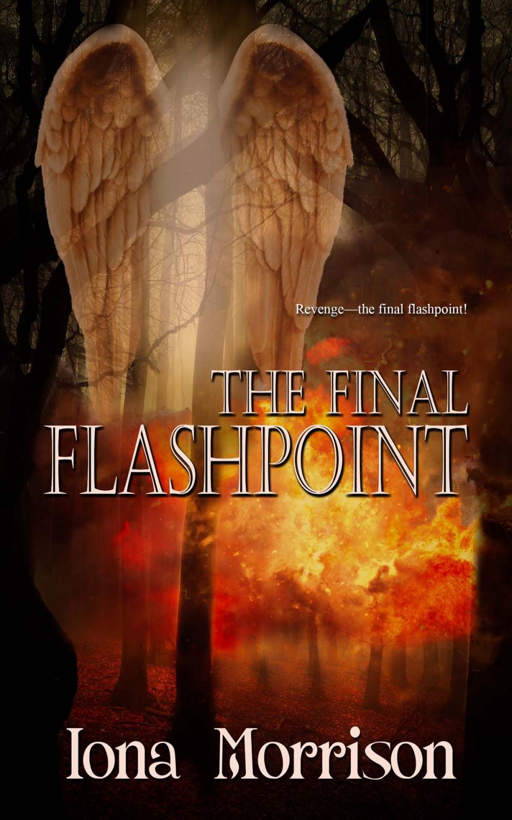 Big bigCover of The Final Flashpoint