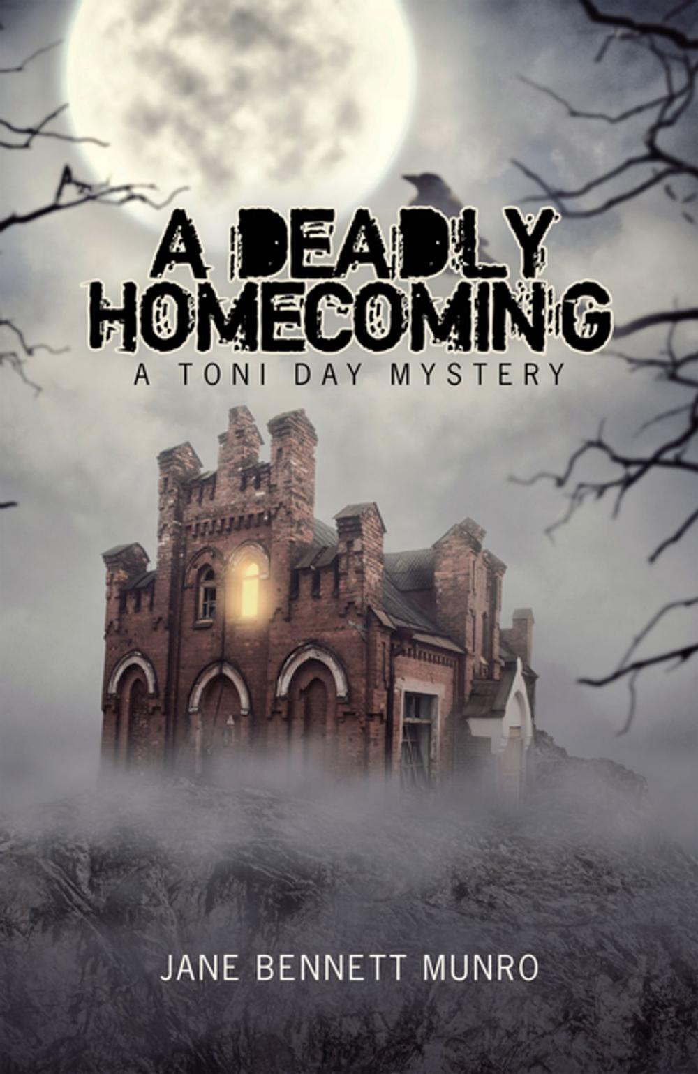 Big bigCover of A Deadly Homecoming