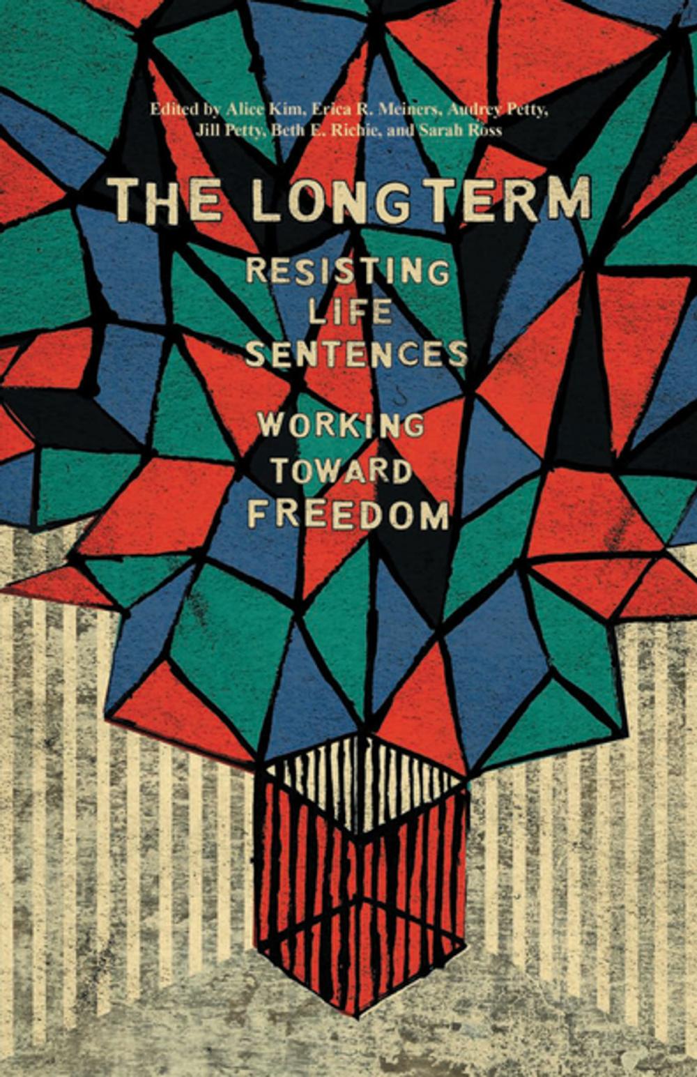 Big bigCover of The Long Term