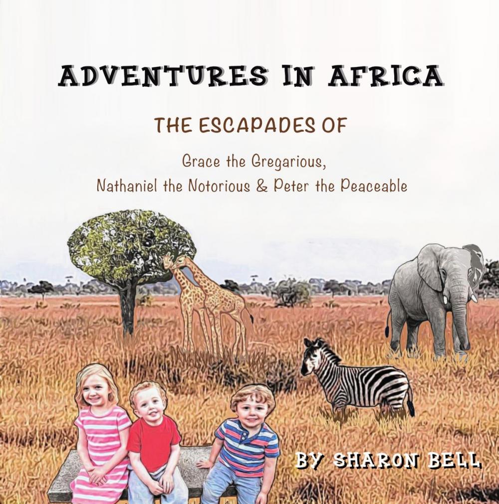 Big bigCover of Adventures in Africa
