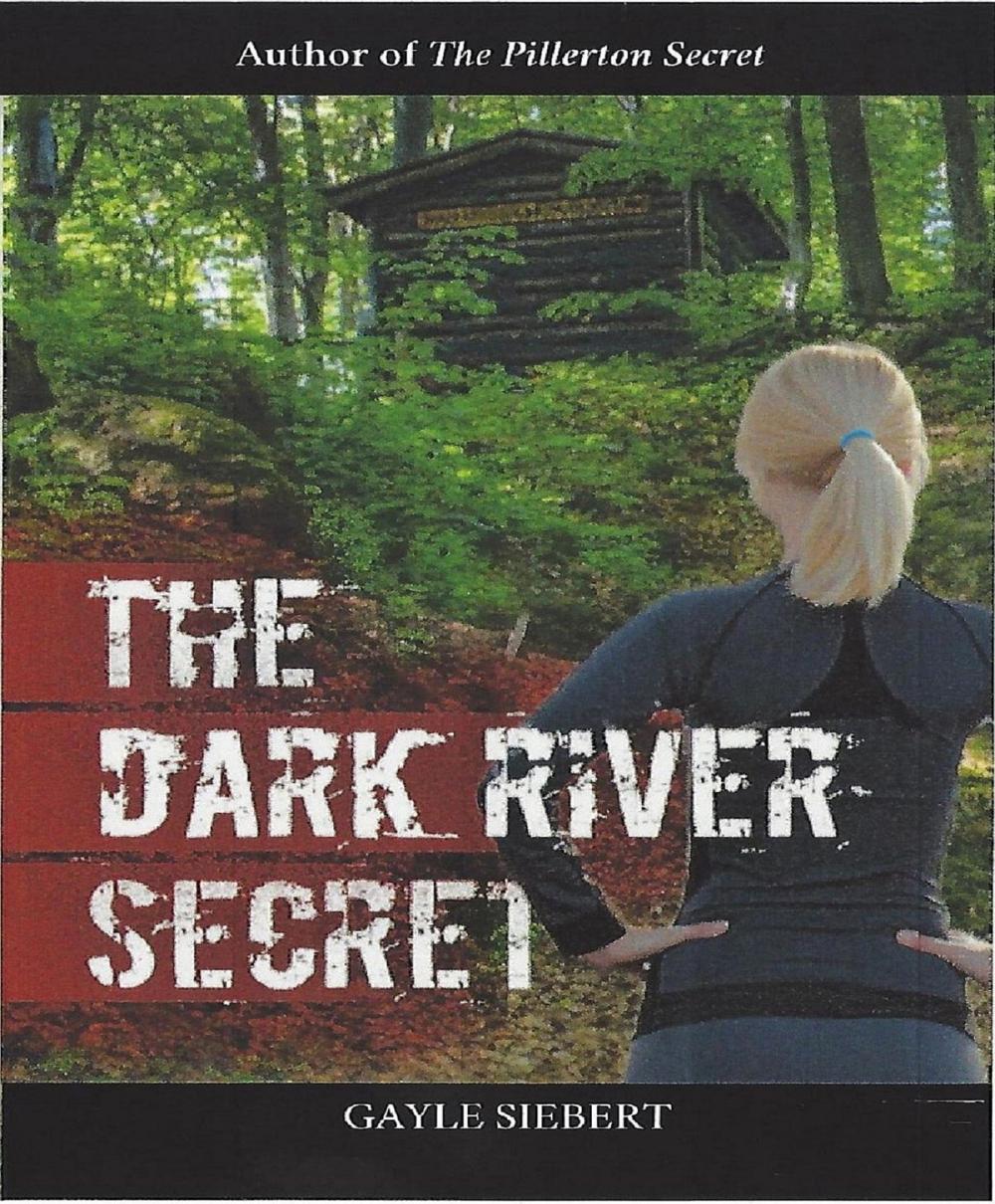Big bigCover of The Dark River Secret