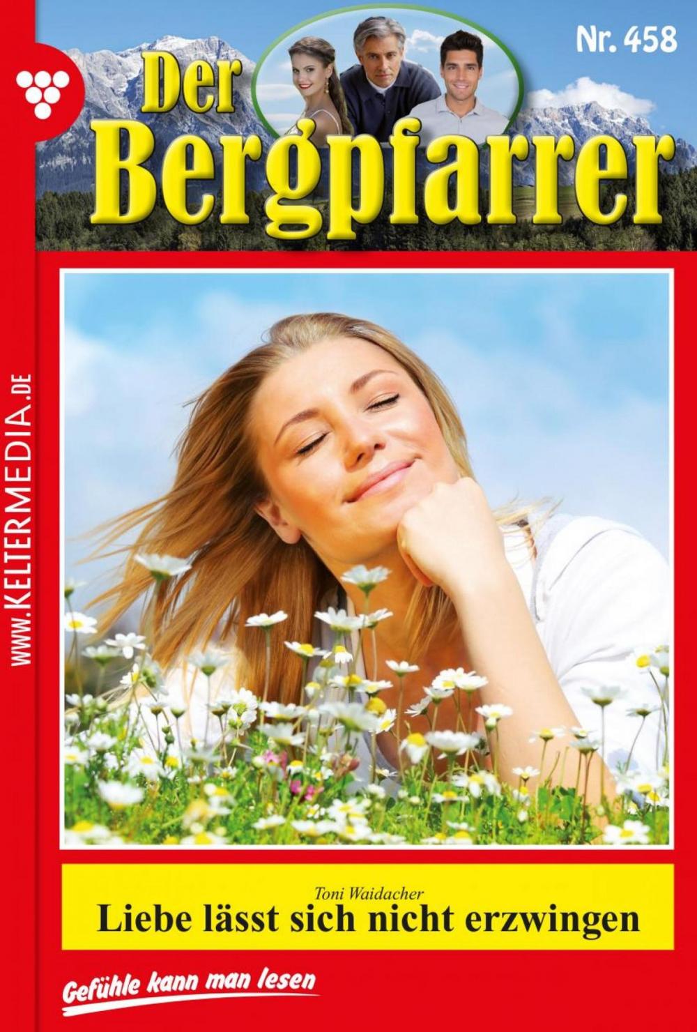 Big bigCover of Der Bergpfarrer 458 – Heimatroman
