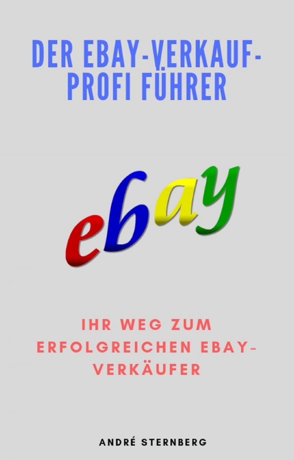 Big bigCover of Der Ebay-Verkauf-Profi Führer