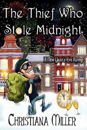 Cover of the book The Thief Who Stole Midnight by Gary VanHaas