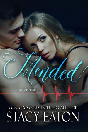 Cover of the book Mended by Amy Manemann, Stacy Eaton