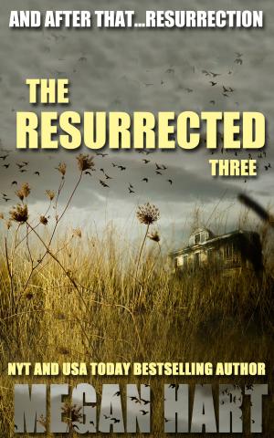 Book cover of The Resurrected Three