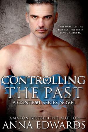 Cover of the book Controlling the Past by V.A. Dold