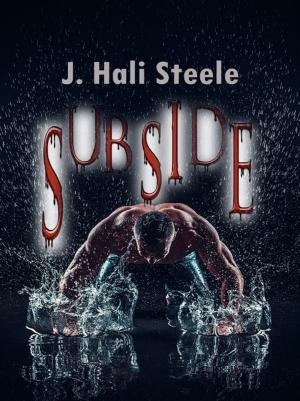 Cover of the book Subside by Rose Wynters