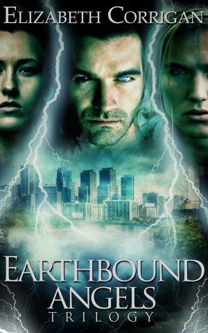 Cover of the book Earthbound Angels Trilogy by Ian J. Malone