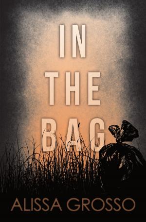 Cover of the book In the Bag by Sean Gabb