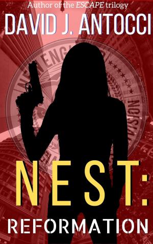 Cover of the book NEST: Reformation by Terence Faherty