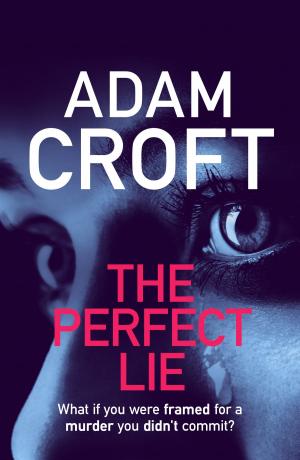 Cover of the book The Perfect Lie by Susan Hubbard