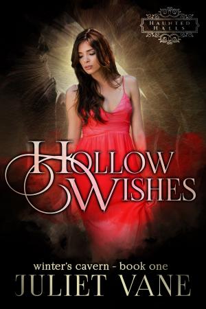 Book cover of Hollow Wishes