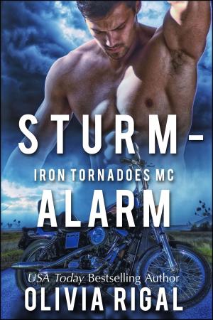 Book cover of Sturmalarm Iron Tornadoes