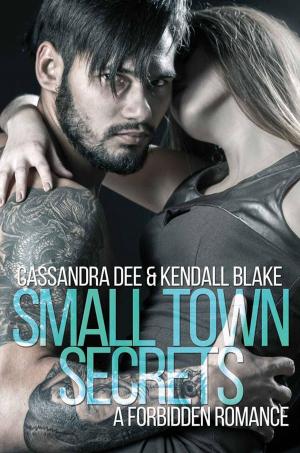Cover of the book Small Town Secrets by Tess St. John