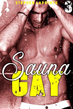 Cover of the book SAUNA GAY - Tome 3 by Alec Cedric Xander