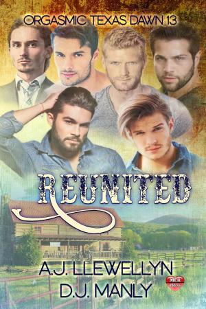 Cover of the book Reunited by D.C. Williams