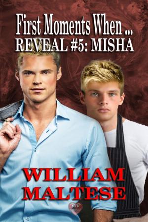 Cover of the book Misha by Adam Carpenter