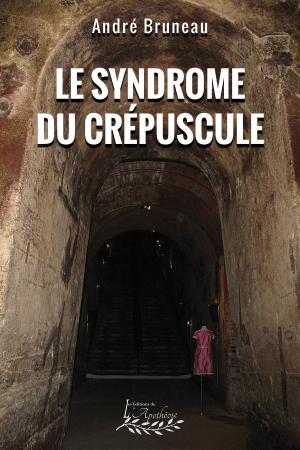 Cover of the book Le syndrome du crépuscule by Stacey Johnston