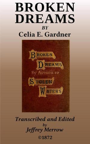 Cover of the book Broken Dreams by Ned Buntline