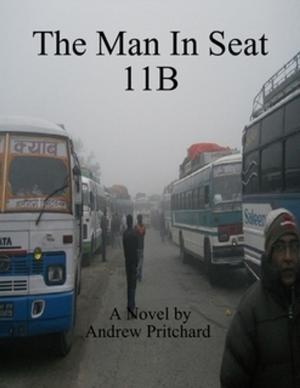 Book cover of The Man In Seat 11B