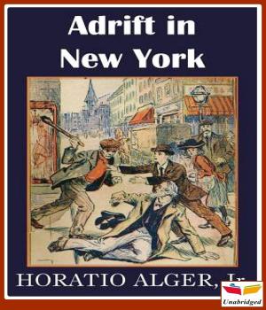 Book cover of Adrift in New York