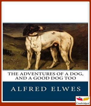 Cover of the book The Adventures of a Dog, and a Good Dog Too by Edith Œnone Somerville