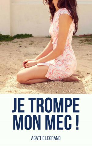Cover of the book Je trompe mon mec ! by Angie Leck