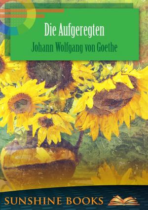 Book cover of Die Aufgeregten