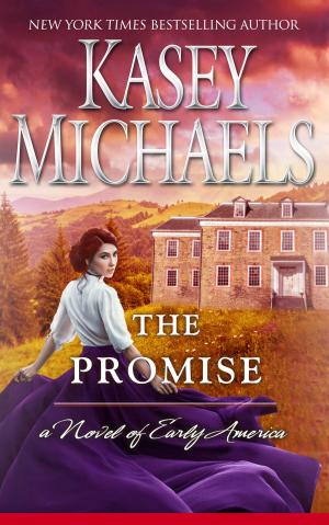 Cover of the book The Promise by Scott Bachmann