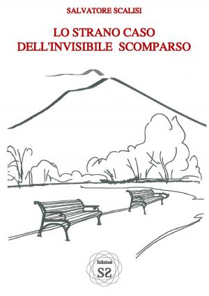 Book cover of Lo strano caso dell'invisibile scomparso