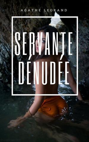 Cover of the book Servante dénudée by Alex Belleville