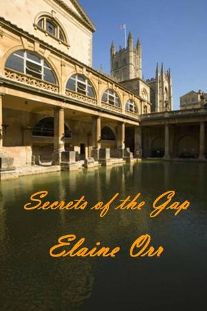Book cover of Secrets of the Gap
