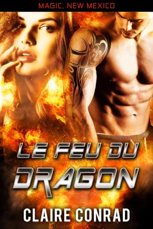 Book cover of Le Feu du dragon