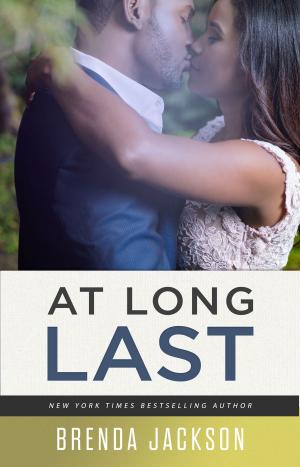 Cover of the book AT LONG LAST by Michelle McGriff