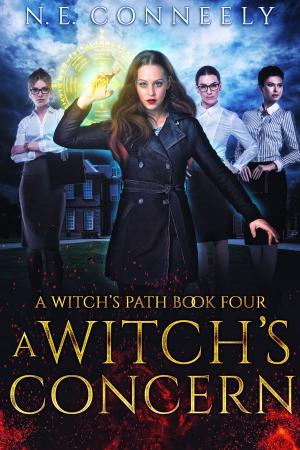 Cover of the book A Witch's Concern by Jeff Vrolyks