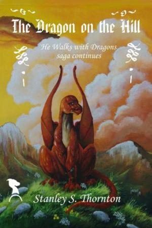 Book cover of The Dragon on the Hill