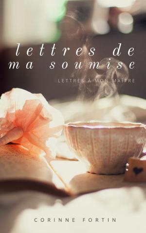 Book cover of Lettres de ma soumise