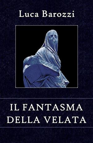 Book cover of Il fantasma della Velata