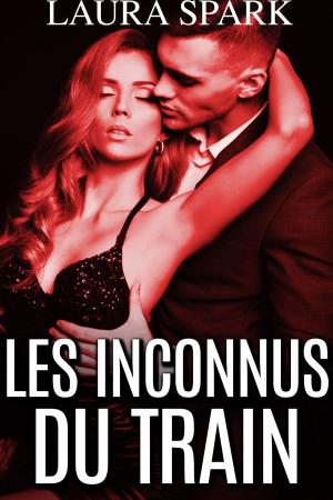 Cover of the book Les inconnus du train by Laura Spark