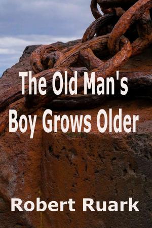 Book cover of The Old Man's Boy Grows Older