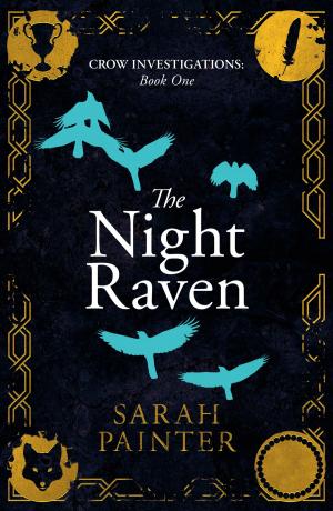 Cover of the book The Night Raven by Elise M. Stone