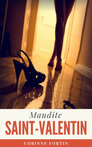 Book cover of Maudite Saint-Valentin